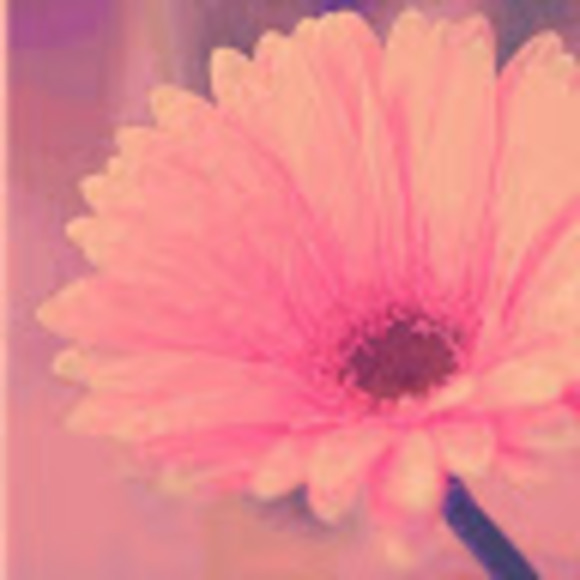 Meet your Posher, Elle - Picture 1 of 1